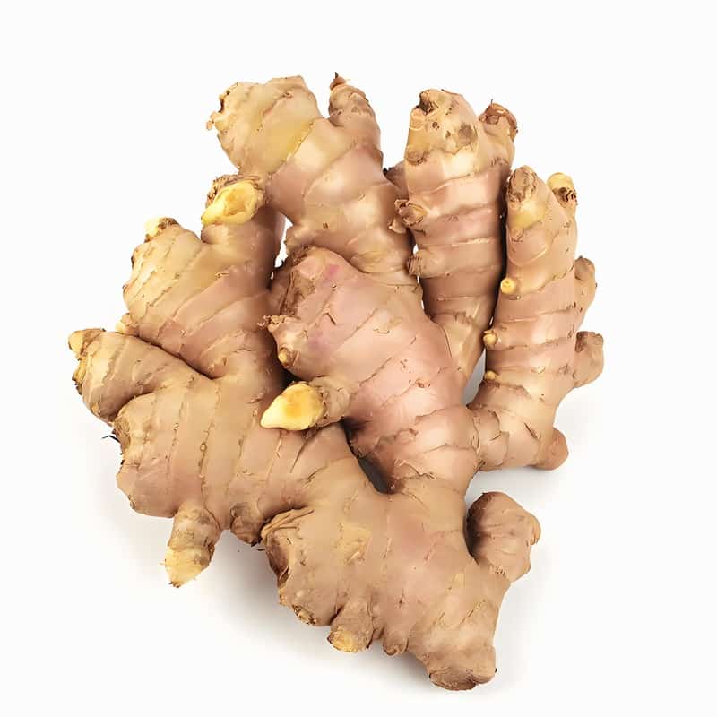 學(xué)校蔬菜配送合作協(xié)議